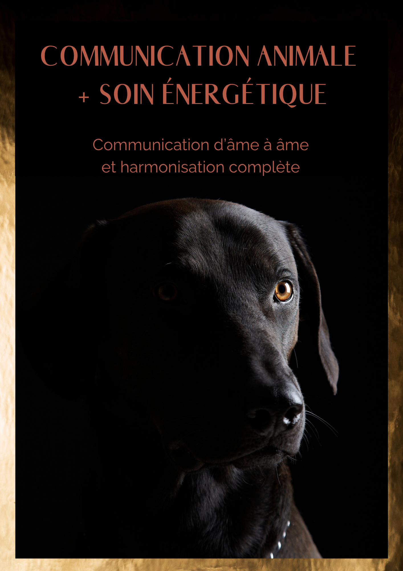 Com Animale Eveil Conscience Animale