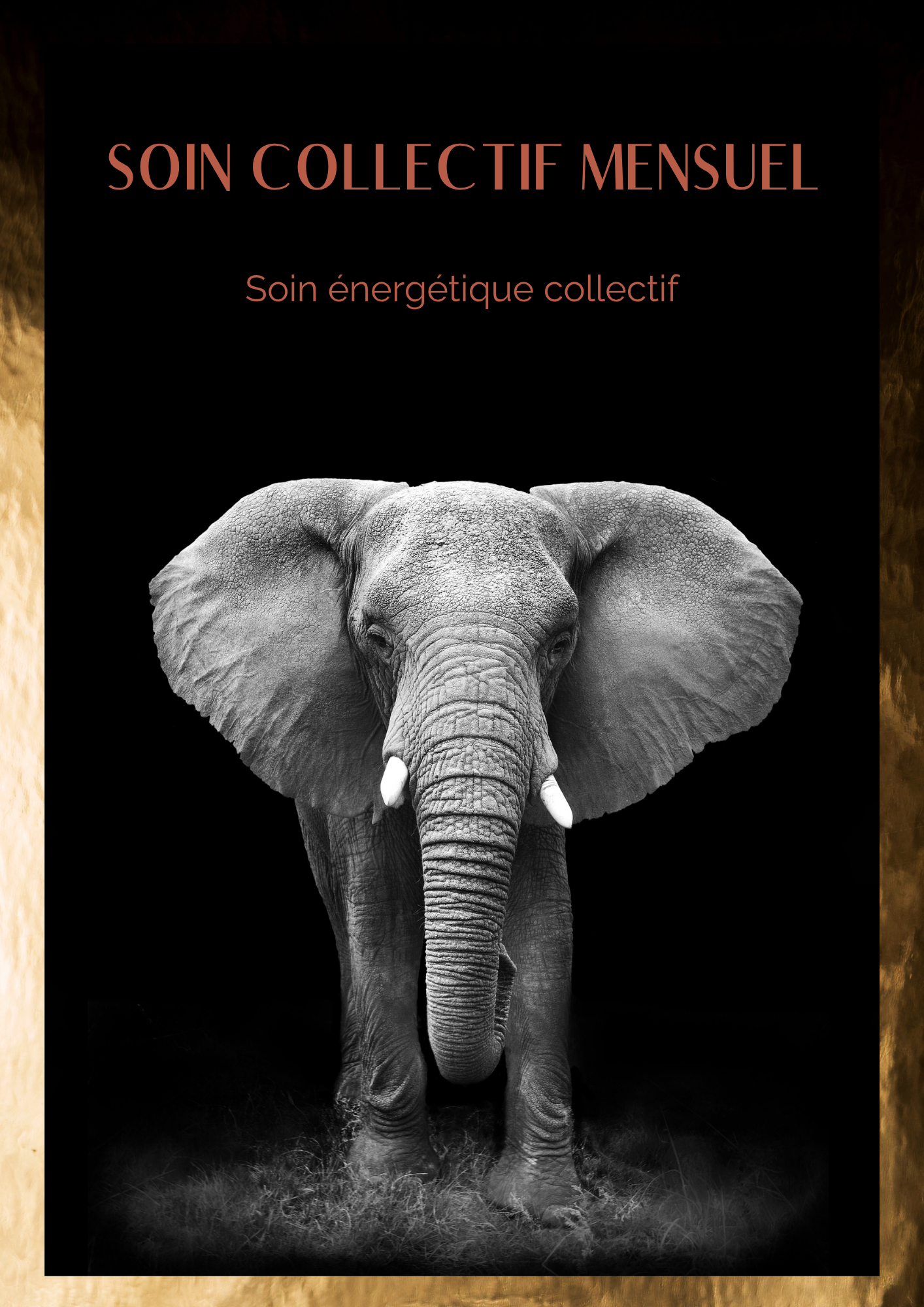 Soin Co mensuel Eveil Conscience Animale