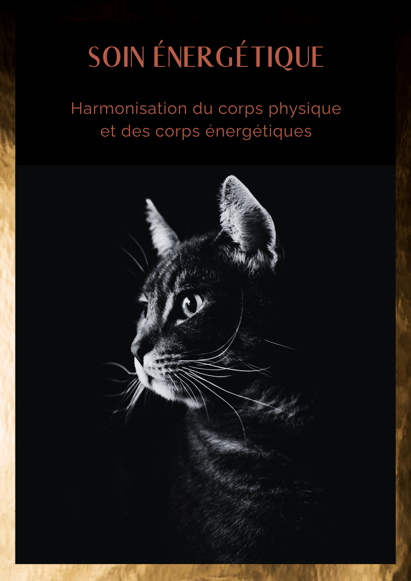 Soin energetique Eveil Conscience Animale